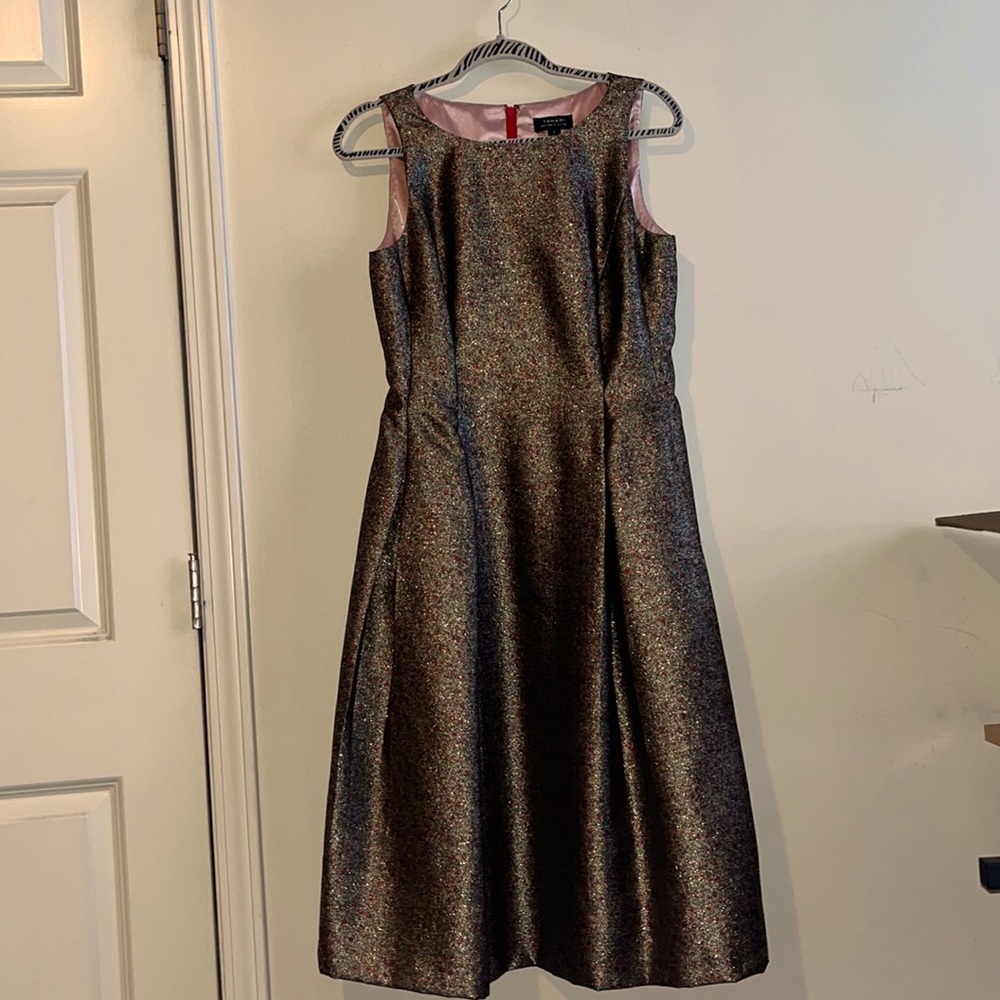 Gold and Red Tahari Dress